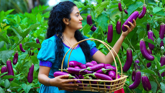 Top 5 Health Benefits of Brinjal - eklohaar